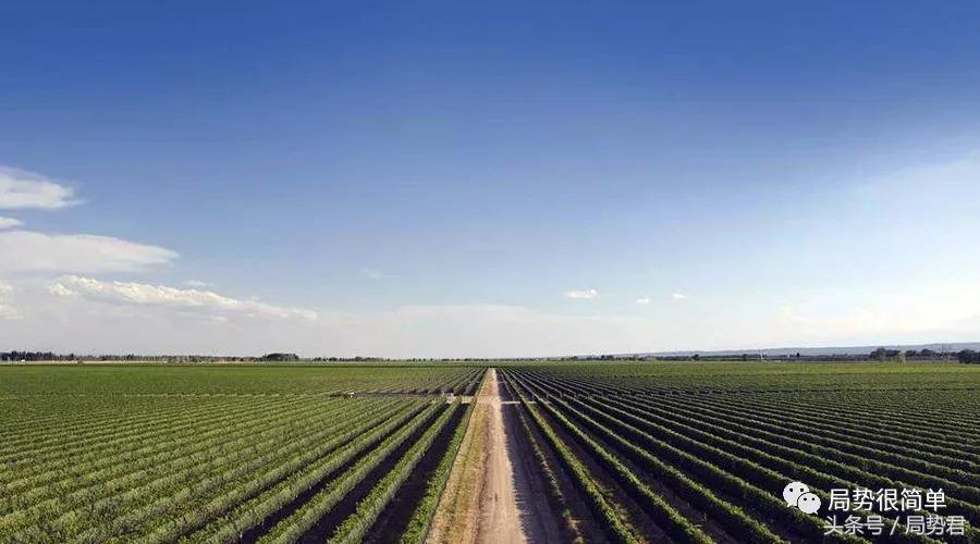 阿根廷靠什么维持经济,阿根廷经济成功与失败原因