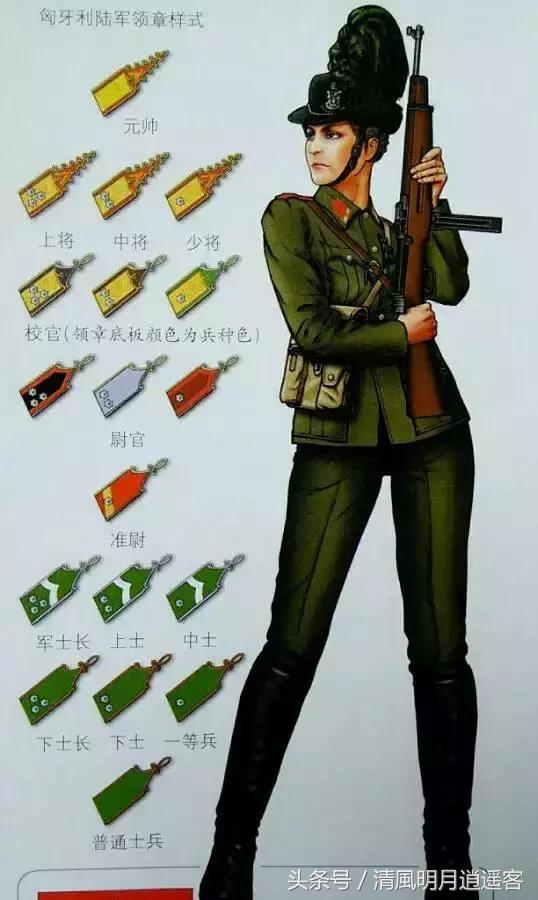 二战美国海军少尉军衔军装,从二战到现在的军装军衔等级