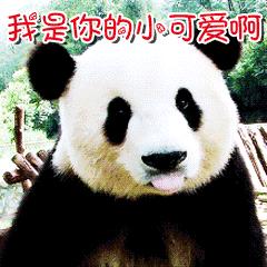 venus维纳斯睫毛增长液有用吗,revitalash睫毛增长液