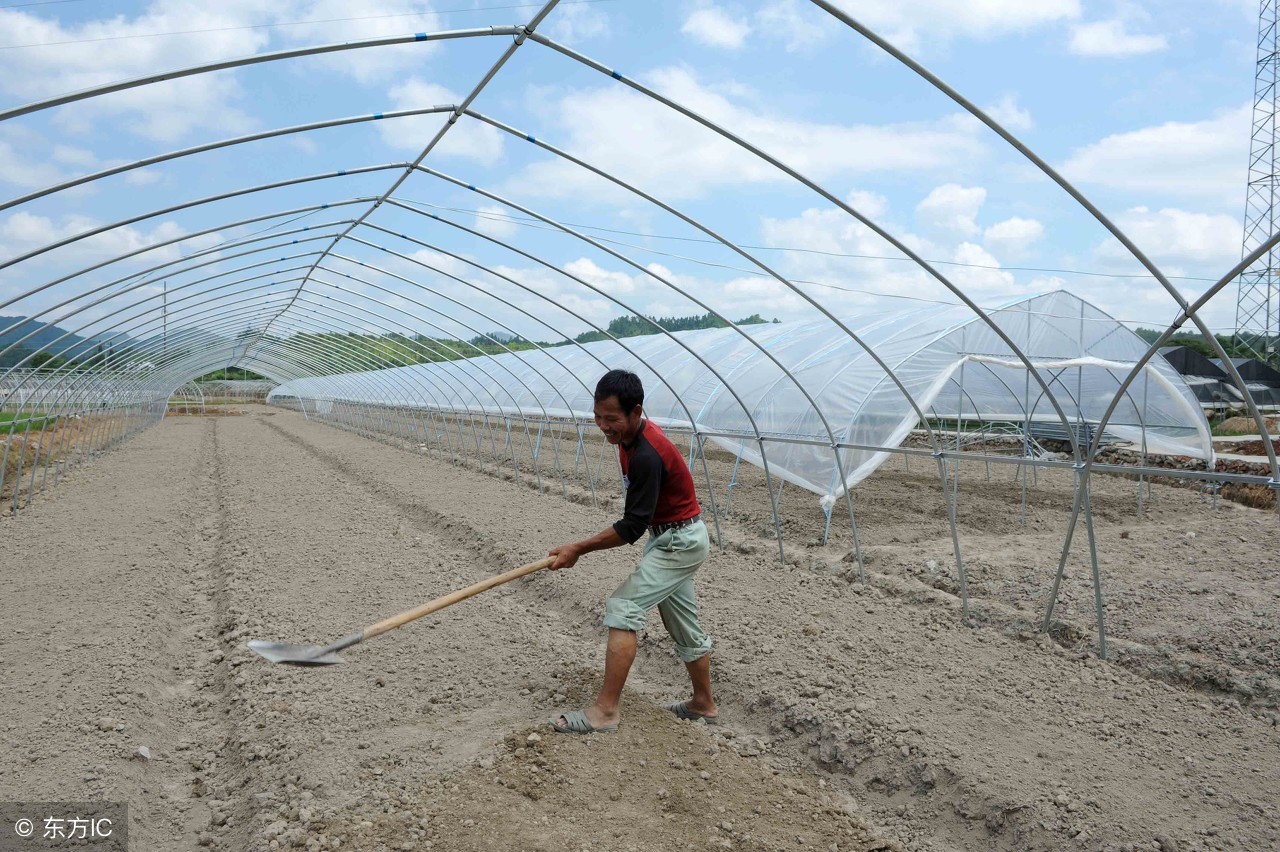 蔬菜被水泡过怎么补救,农作物受淹后补救方法