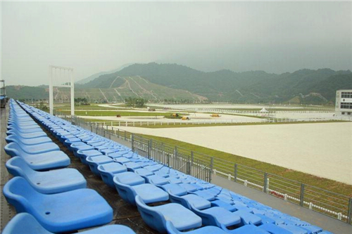 香港赛马会沙田马场,香港从化马场视频