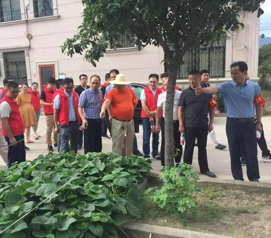 东阳市江北街道:一座城市一个家,文明江北靠大家!