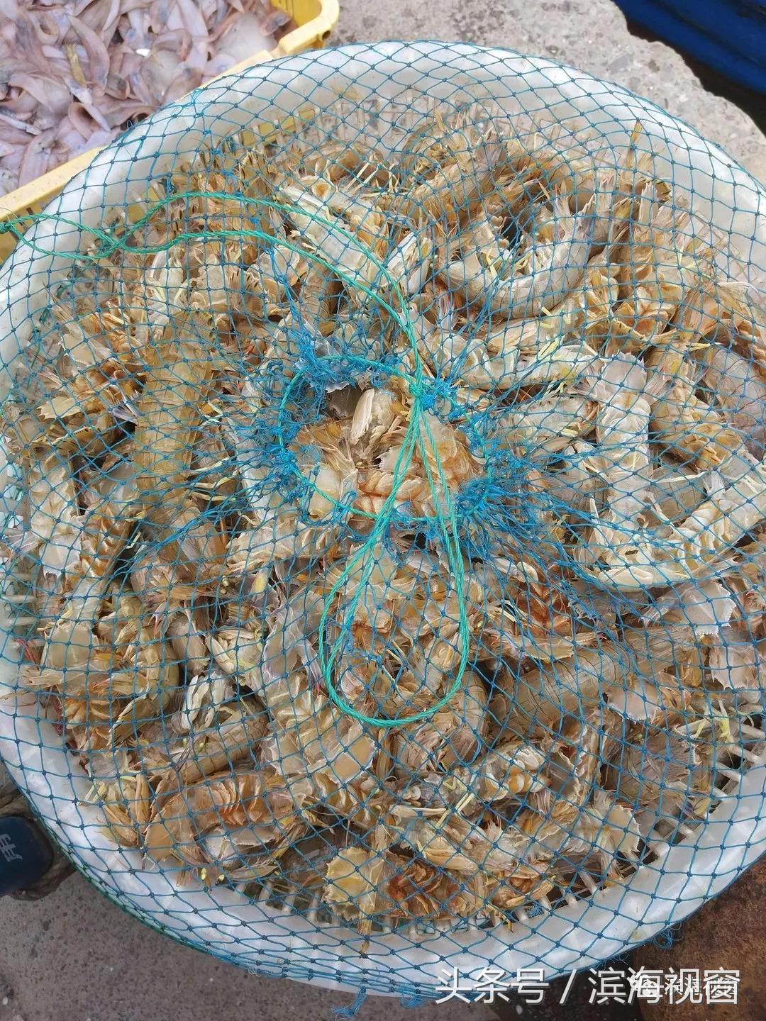 塘沽北塘海鲜哪里好吃,塘沽北塘海鲜哪家最好