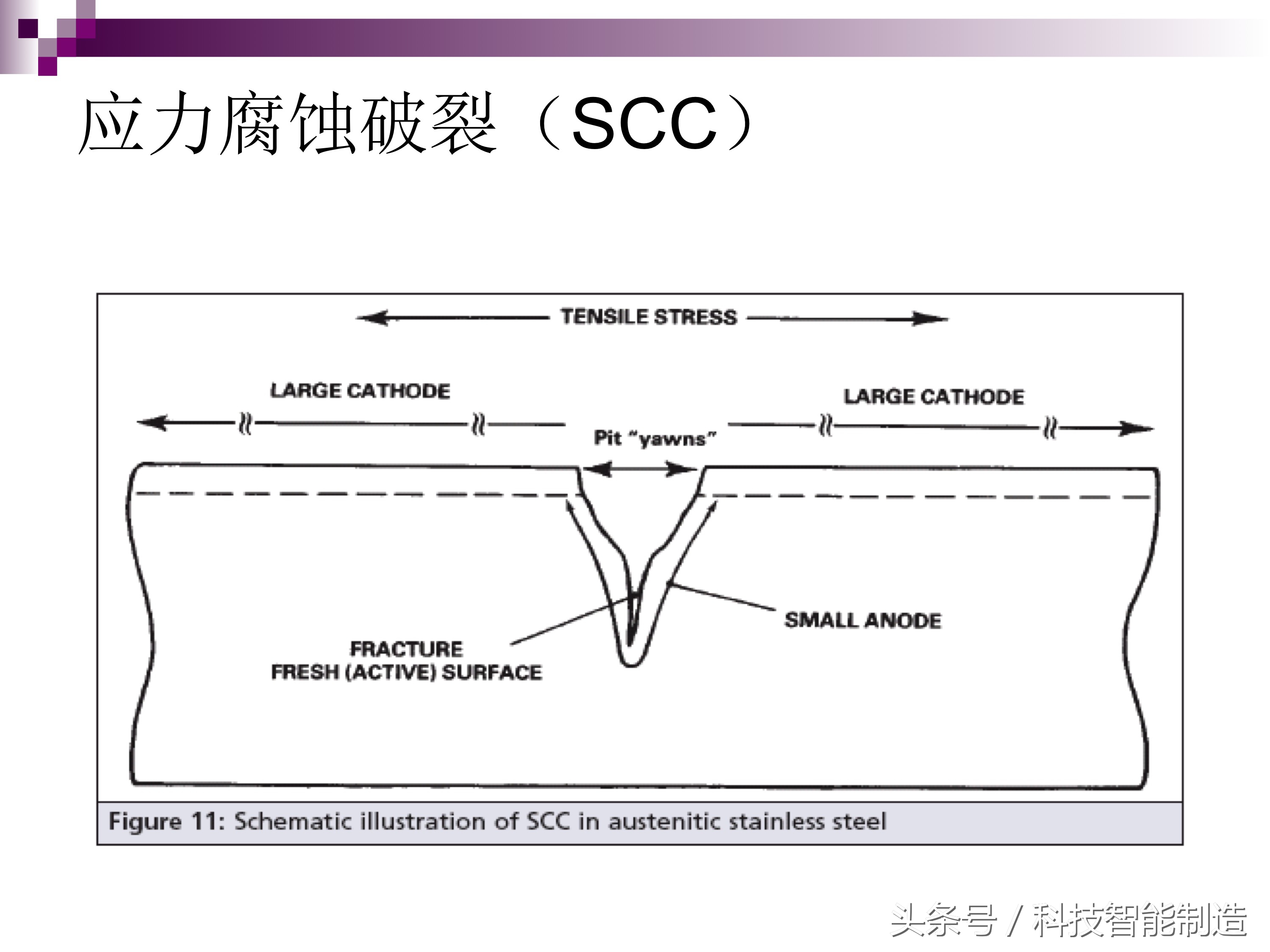 不锈钢腐蚀的主要原因是什么元素,不锈钢腐蚀真实案例