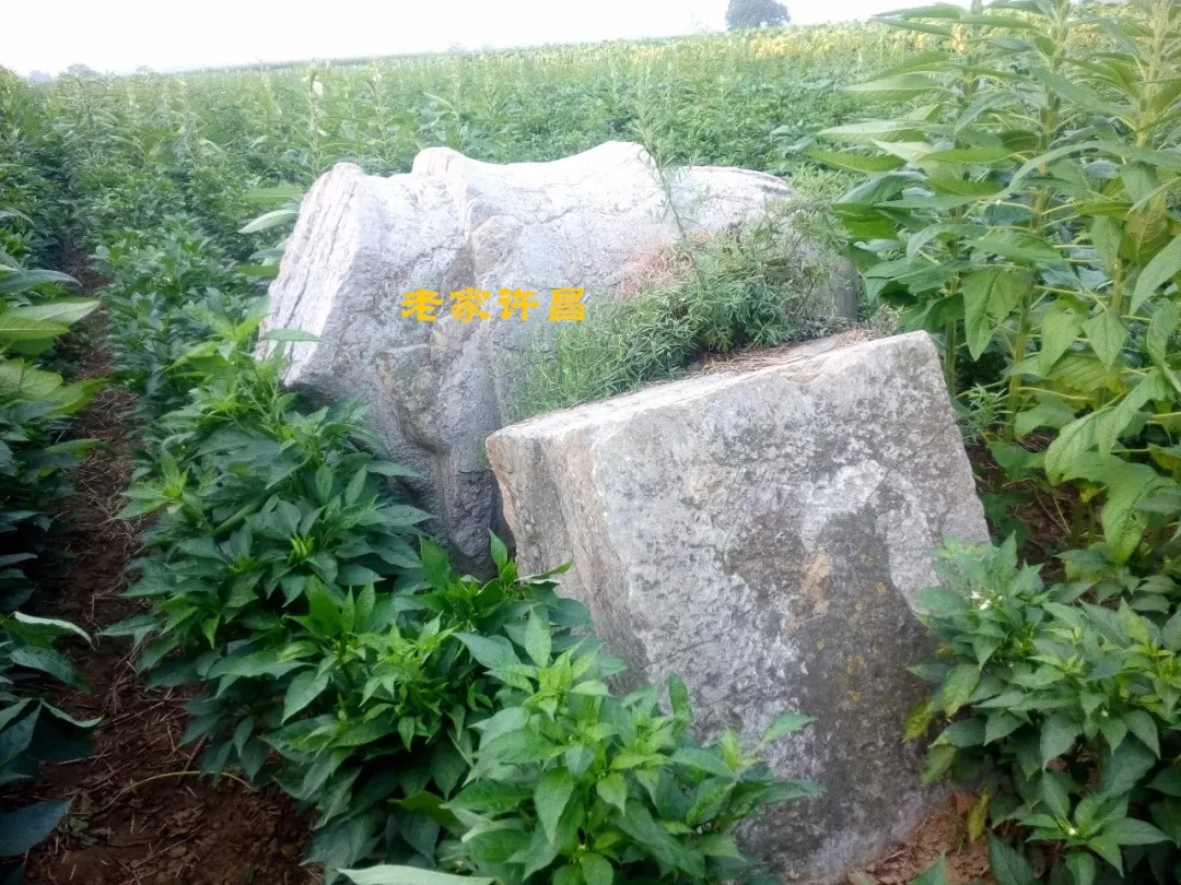 唐太宗李世民为何亲自为襄城县此村赐名？