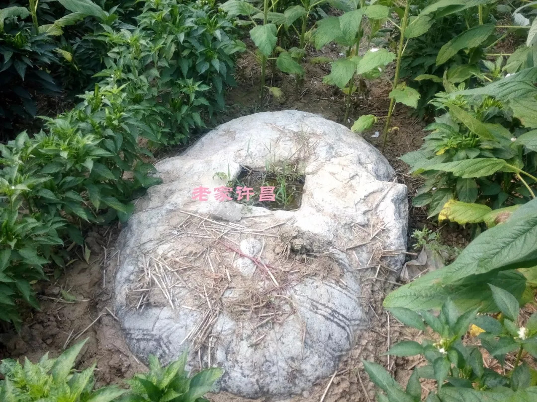 唐太宗李世民为何亲自为襄城县此村赐名？