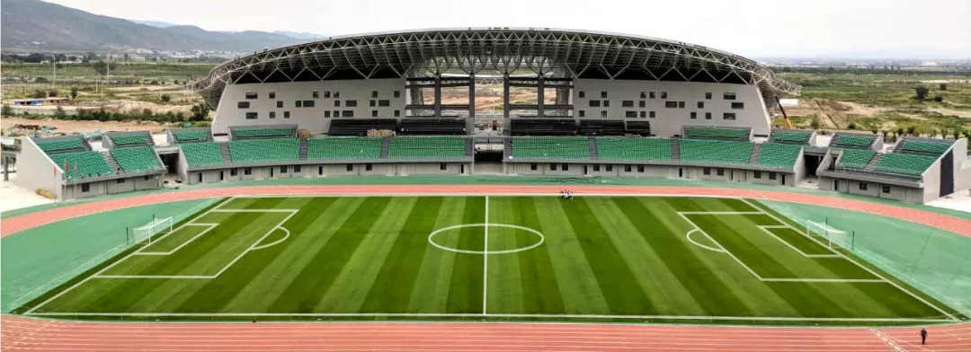 足球场是天然草还是人工草好,足球场天然草用什么草种