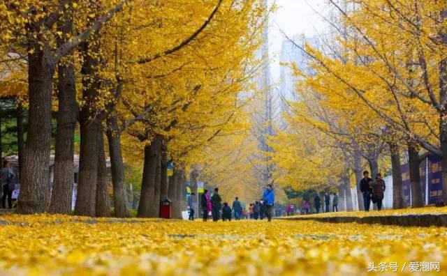 从吉林出发辽宁游玩路线,从辽宁到吉林自驾游最佳路线