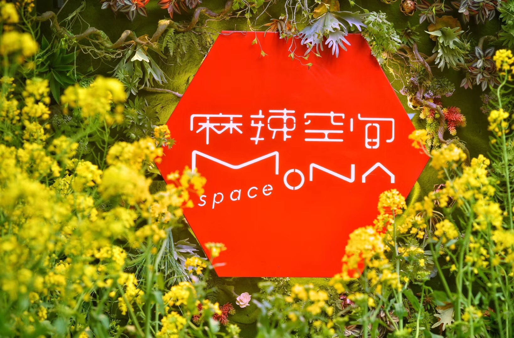 麻辣空间师大店,麻辣空间寻觅