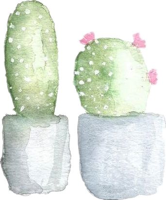 徐医附院风湿免疫科,风湿免疫科质量改善项目