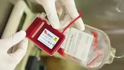 脐带间充质干细胞的扩增,脐带血干细胞国内外研究现状