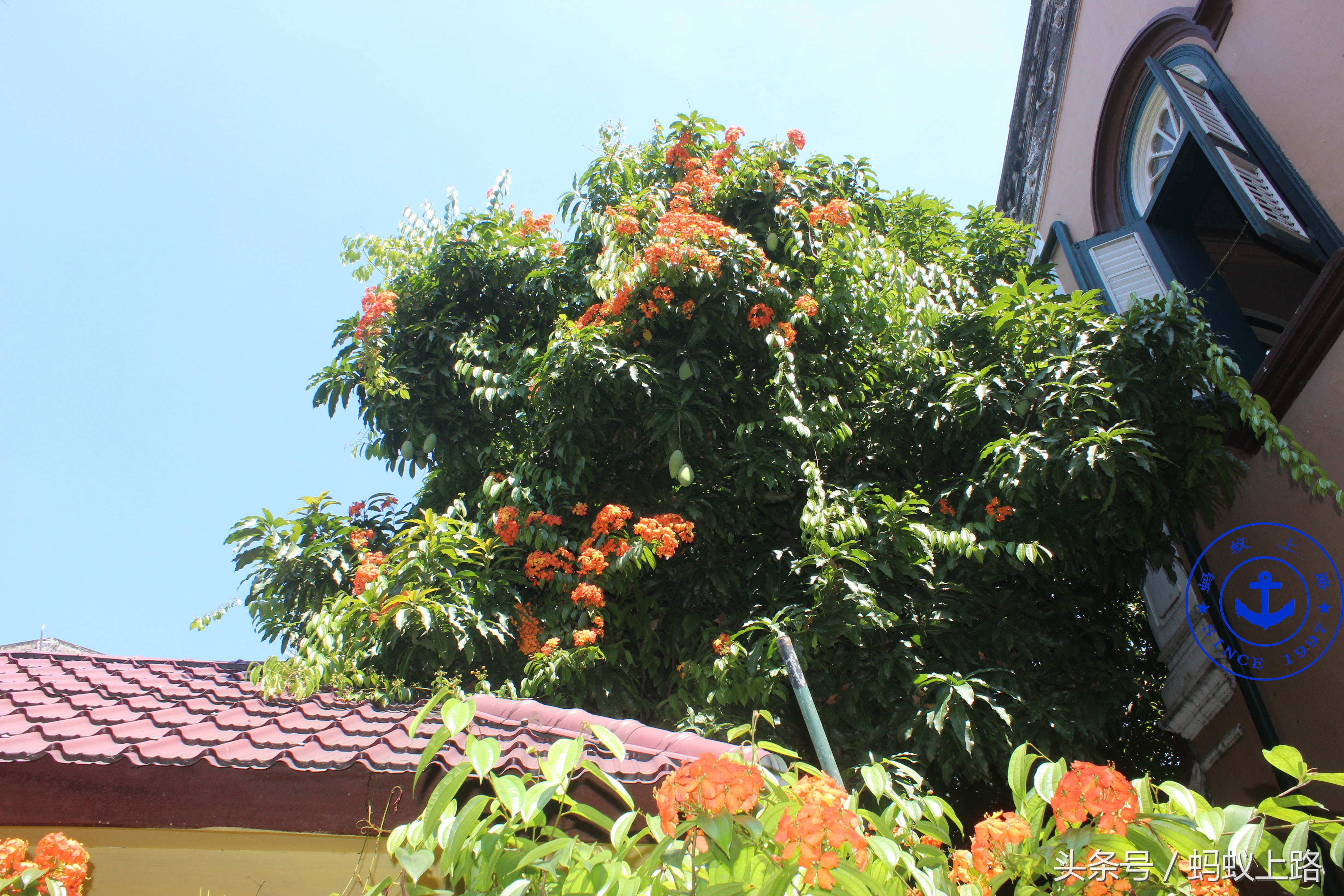 印尼棉兰王——张耀轩故居,TjongAFieMansion