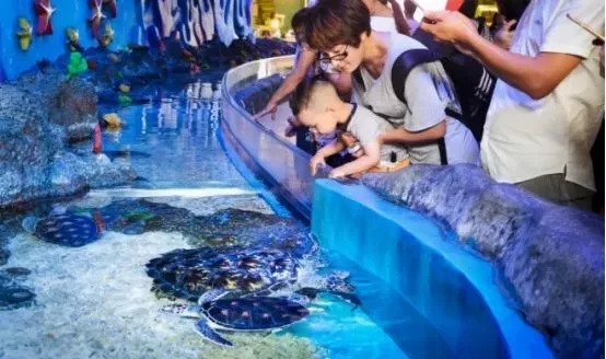 横店梦幻谷玩水需要带什么,梦幻谷横店门票团购优惠直播