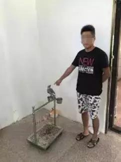 澳洲奶粉是否禁止进入中国,澳洲奶粉微商是真的吗