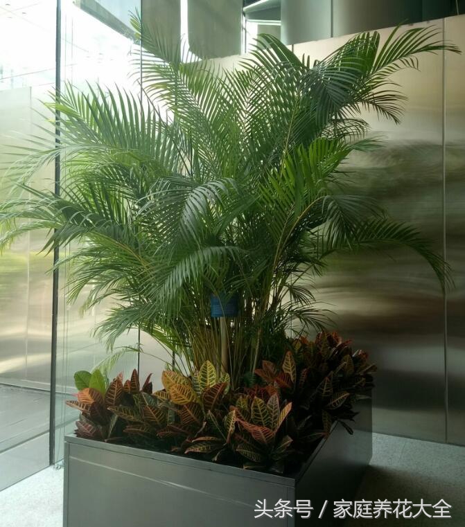 对抗秋冬干燥学会这4招,对抗秋燥