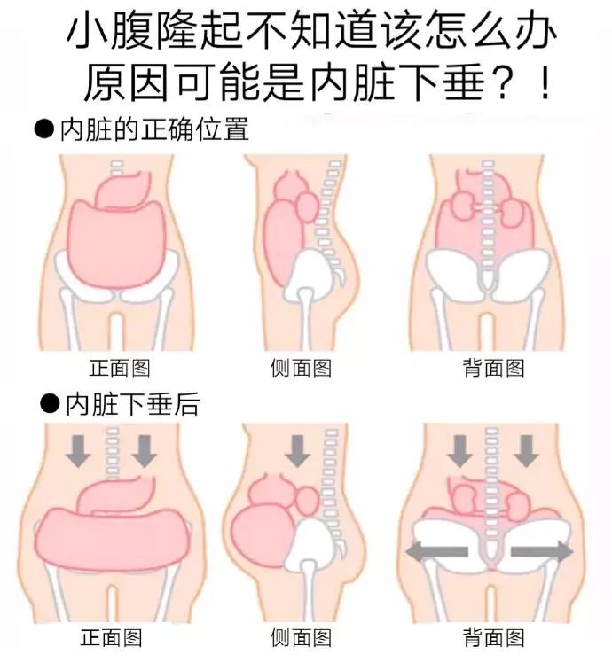 小丸子的真实面貌,小丸子真实故事原型