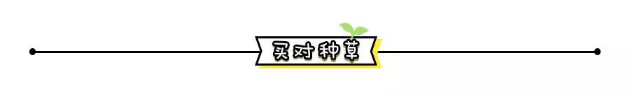 ysl阿玛尼哪个口红好,ysl口红416和阿玛尼405