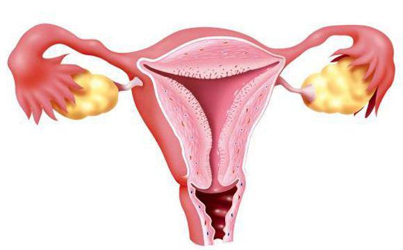 敷着最贵的面膜熬着最长的夜语句,敷着最贵的面膜熬着最长的夜养生