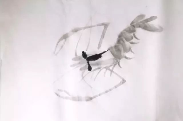 简单的画虾教程儿童,最简单的画虾的方法