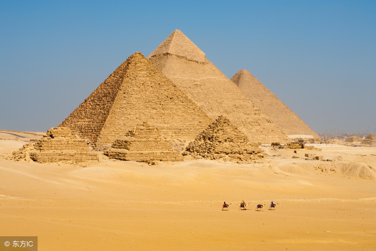 鲨鱼不吃人的危害,鲨鱼不吃人真的吗