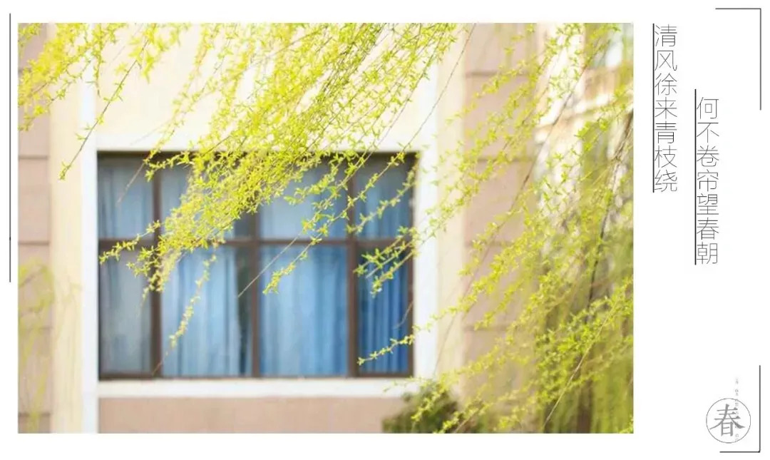 原来你是这样的海军陆战队,原来你是这样的英文