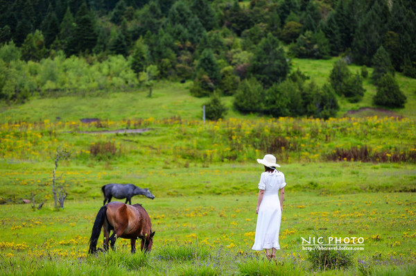 九月份的江南风景,四月的江南风景