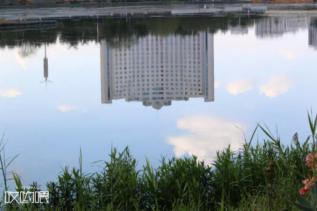 鍗楀畞闈掔骞胯タ鑹烘湳瀛﹂櫌,骞胯タ鑹烘湳瀛﹂櫌闈掔