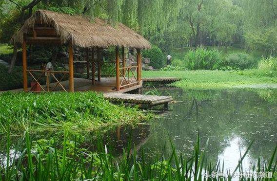 钓鱼技巧和口诀一览表,钓鱼十八招