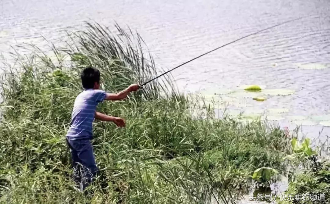 钓鱼技巧和口诀一览表,钓鱼十八招