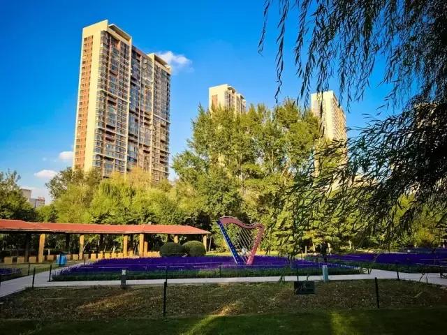 沈马绝美图片,沈马最好看的照片