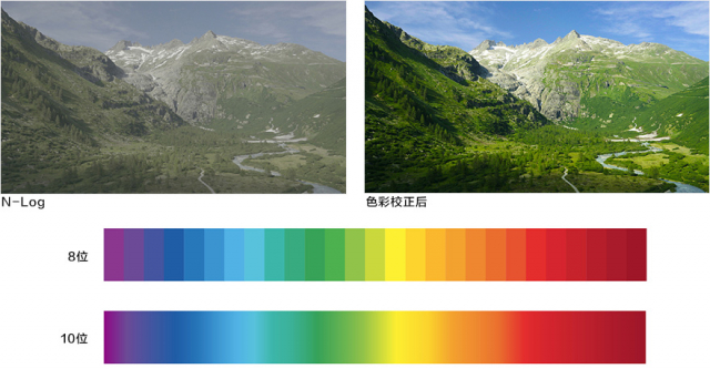 尼康z50与z7对比评测,尼康z7ii高感深度评测