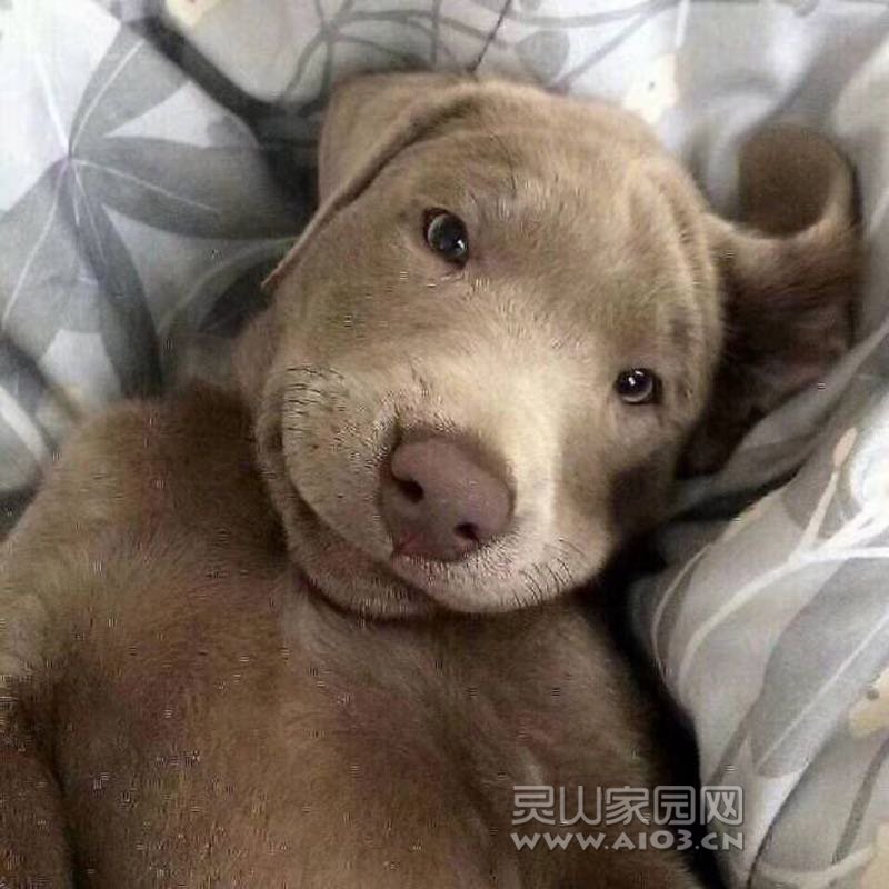 灵山和中灵山,灵山人在灵山