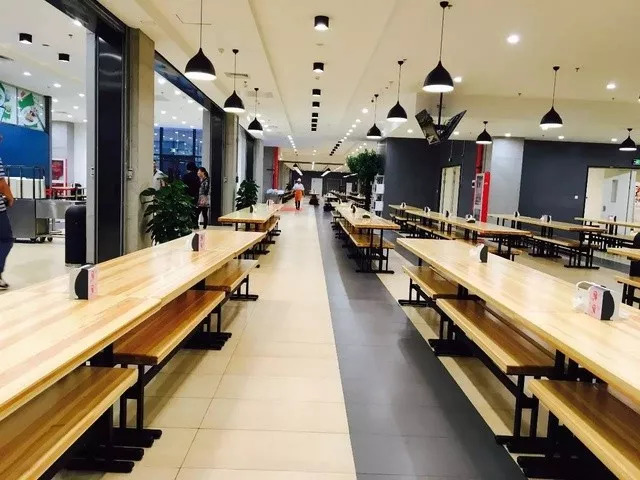 丁磊为什么是养猪大佬,丁磊的养猪模式