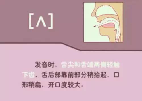 英语48个音标发音详细教程,英语48个音标的正确发音和技巧