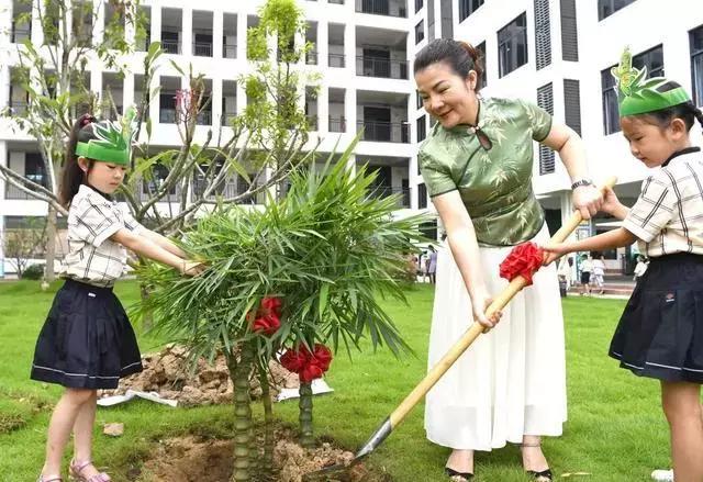 南宁小学开学典礼直播,直击南阳市小学开学现场
