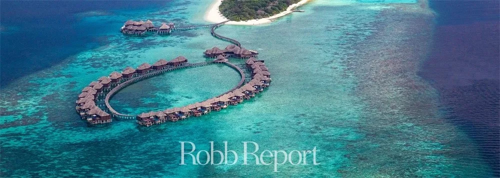 带你看世界的酒店,东方甄选看世界酒店