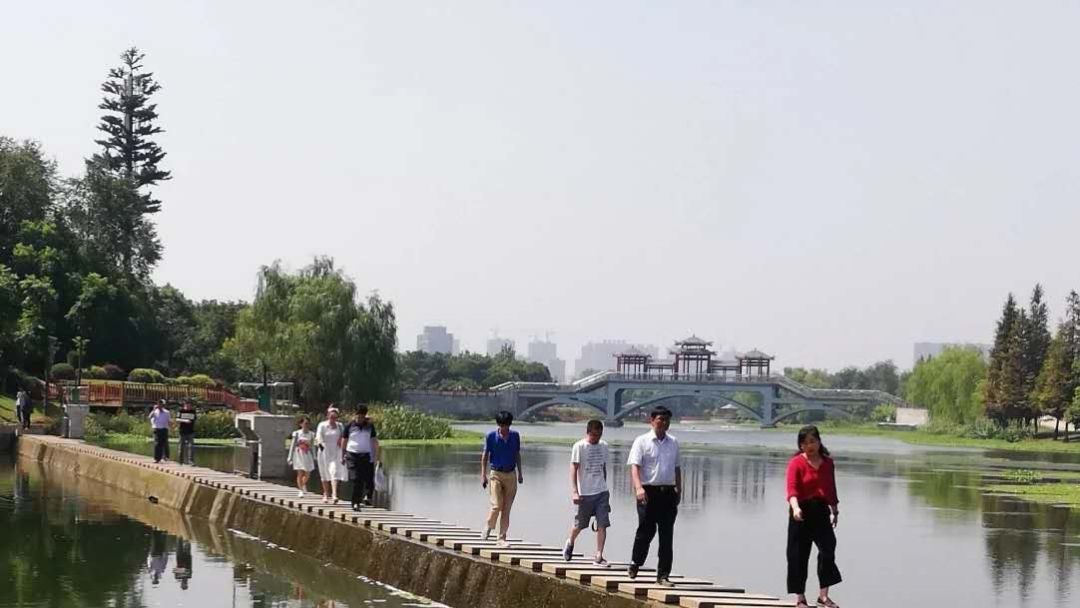 广东省环境保护督察第四批督察组,市生态环境保护督察整改方案