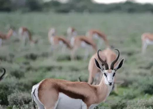 五分钟认识英国,五分钟认识奔驰