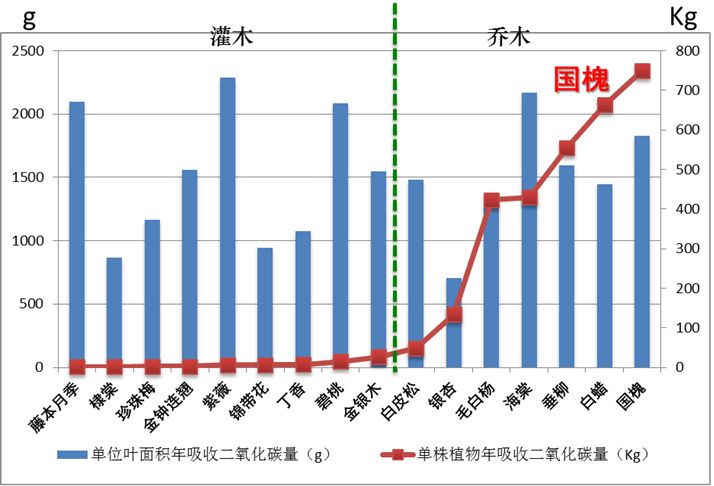 「交通看点」建设“完整林荫道”——步行和自行车交通环境设计建设图集亮点介绍（一）