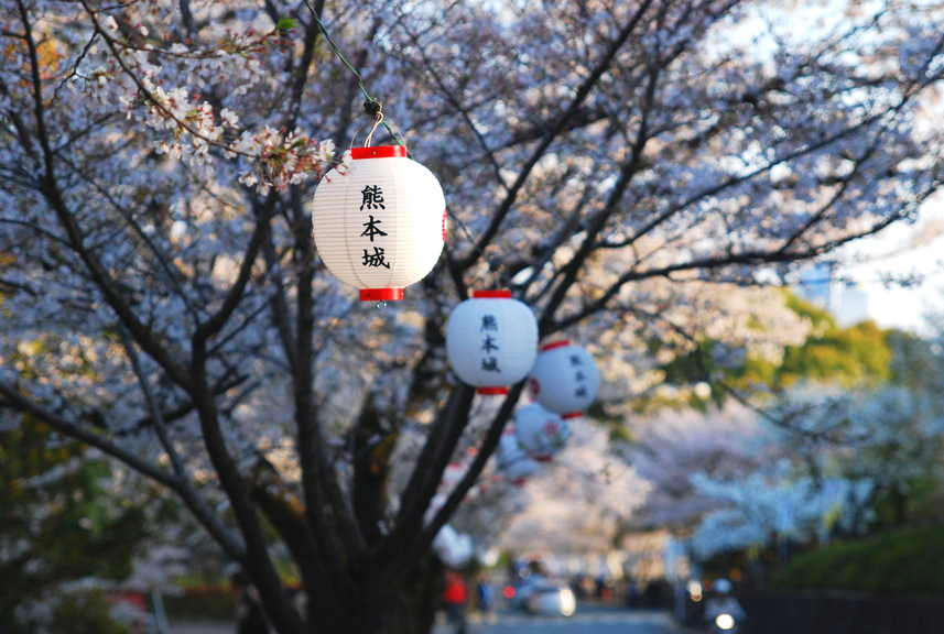 小董带你去旅行,小懂海外旅行
