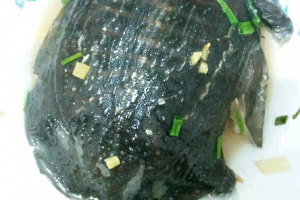 甲鱼最常见的几种做法,冬季甲鱼跟什么做才好