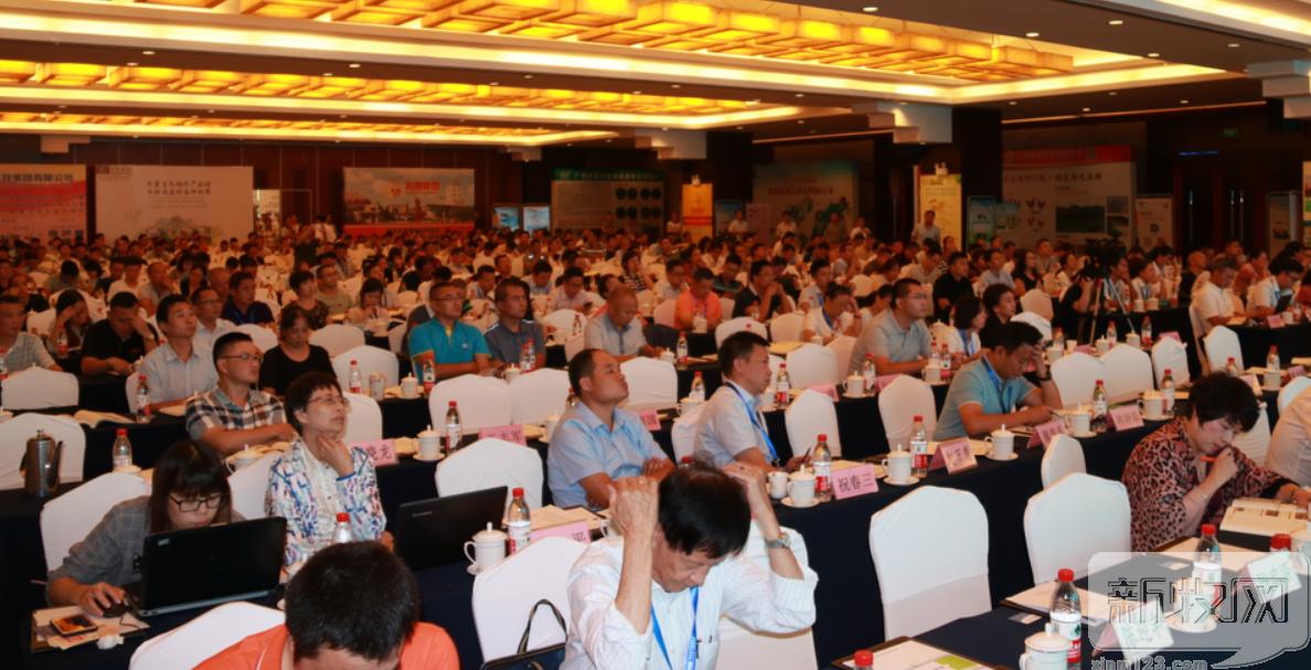 鸡球虫病最新诊疗方案,鸡球虫病和血痢怎么区分