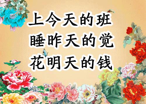 会动的照片大全,会动的11张图片