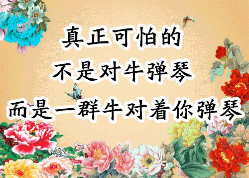 会动的照片大全,会动的11张图片