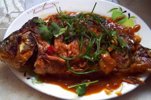 冬天来合阳，赏万顷芦荡，候鸟齐飞（组图）