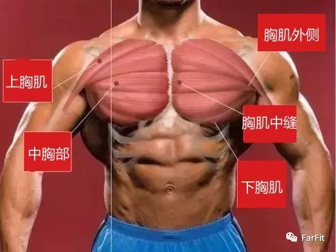 胸肌上中间没肉怎么徒手增厚,胸肌练到什么程度练胸肌中缝