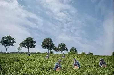 溧阳最美民宿十佳排名,溧阳青峰九间堂民宿优惠