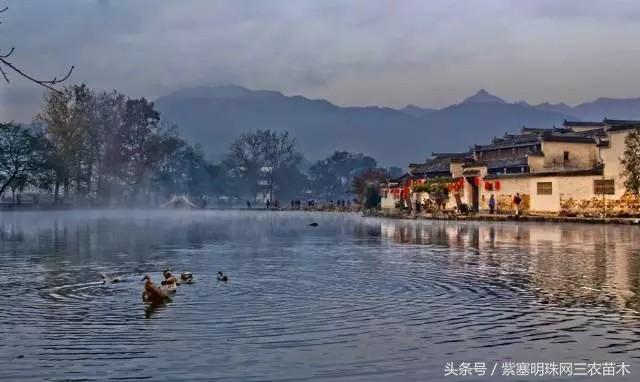 黄山旅游攻略黟县民宿景点,黄山宏村千岛湖西塘旅游攻略