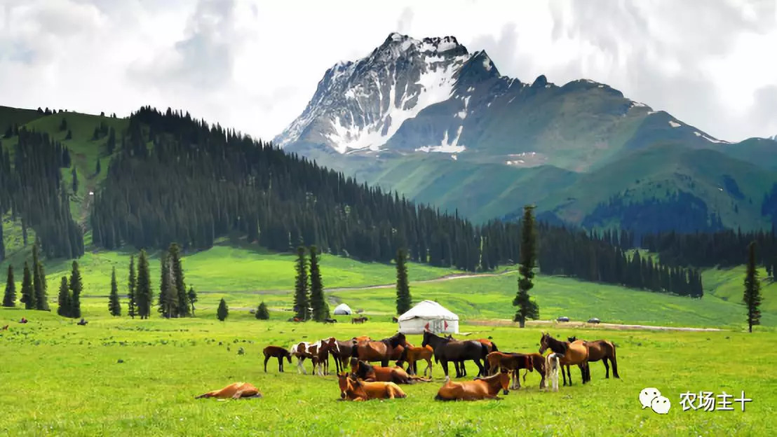 中国农场主的要求,成为农场主要具备哪些