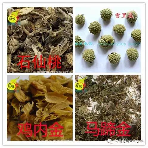 冷背药材批发市场,中国冷背药材